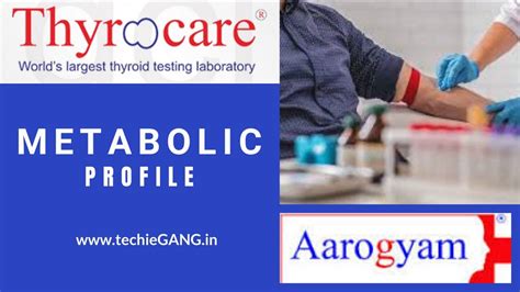 thyrocare hormone test package|thyrocare official website.